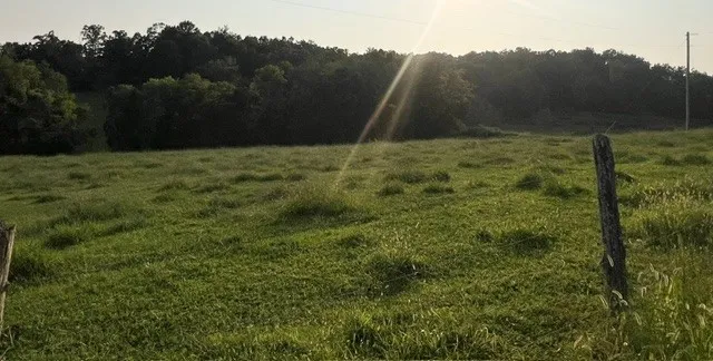 0 Wilkerson Road Adolphus, KY 42120