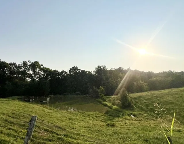 0 Wilkerson Road Adolphus, KY 42120