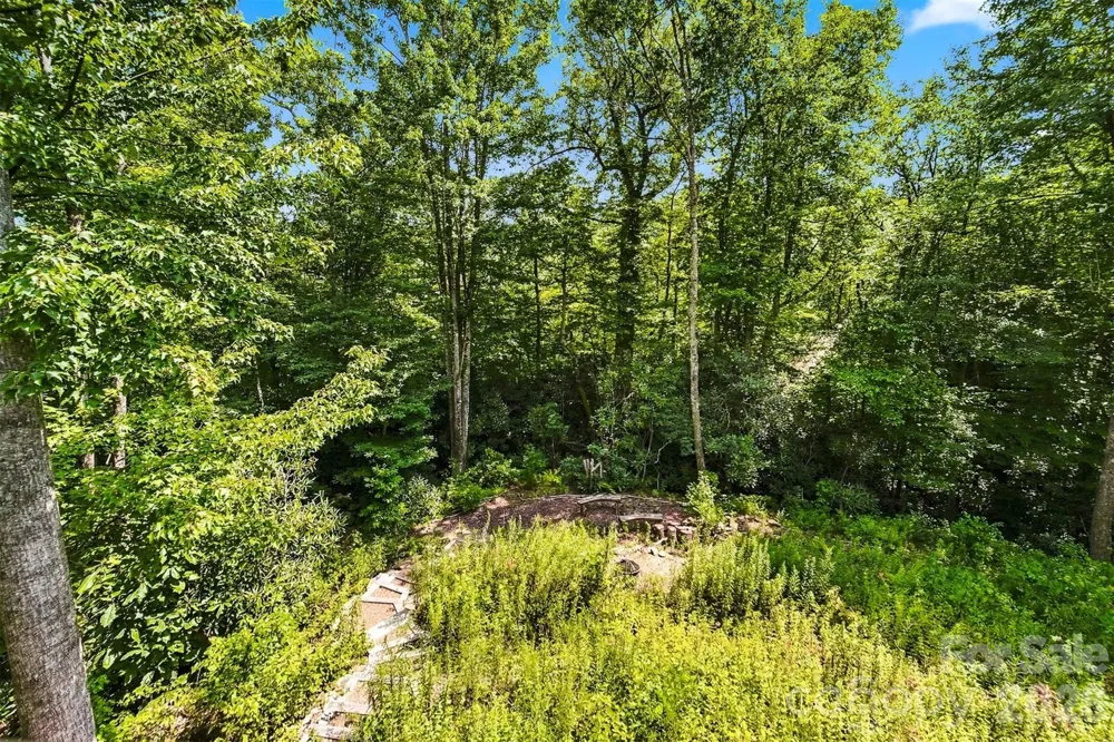 7753 Parks Mountain Drive Newland, NC 28657