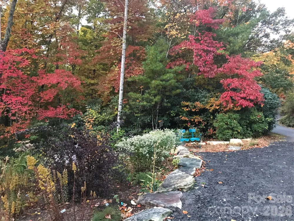 7753 Parks Mountain Drive Newland, NC 28657