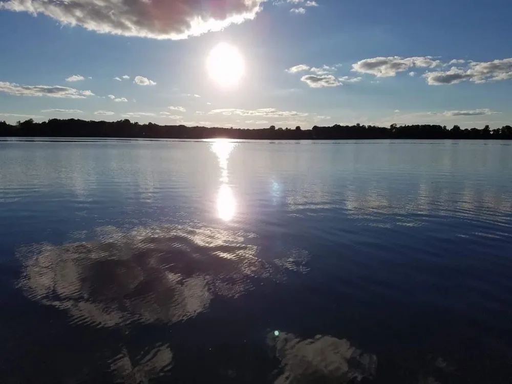 51097 E Wymer Lake Road Frazee, MN 56544