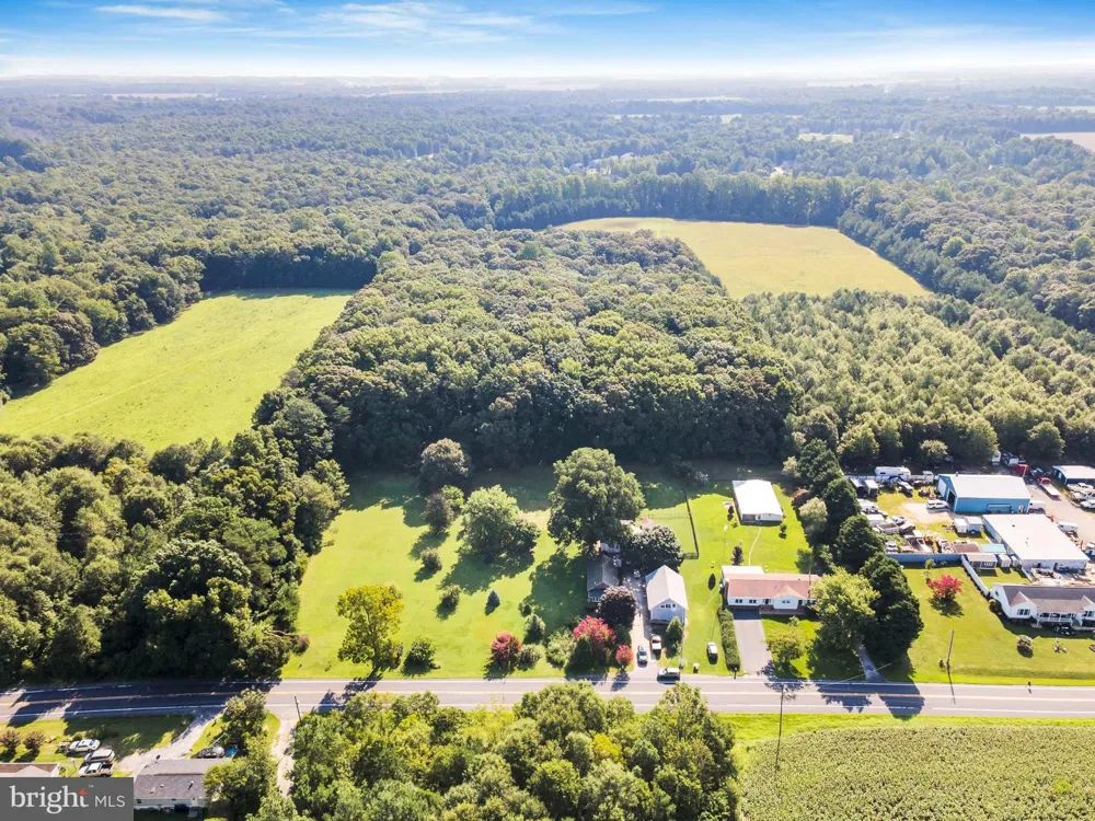 10217 CLENDANIEL POND ROAD Lincoln, DE 19960