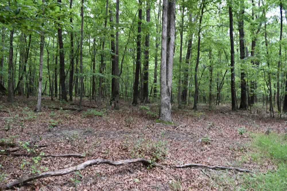 0 Deep Woods Road Sewanee, TN 37375