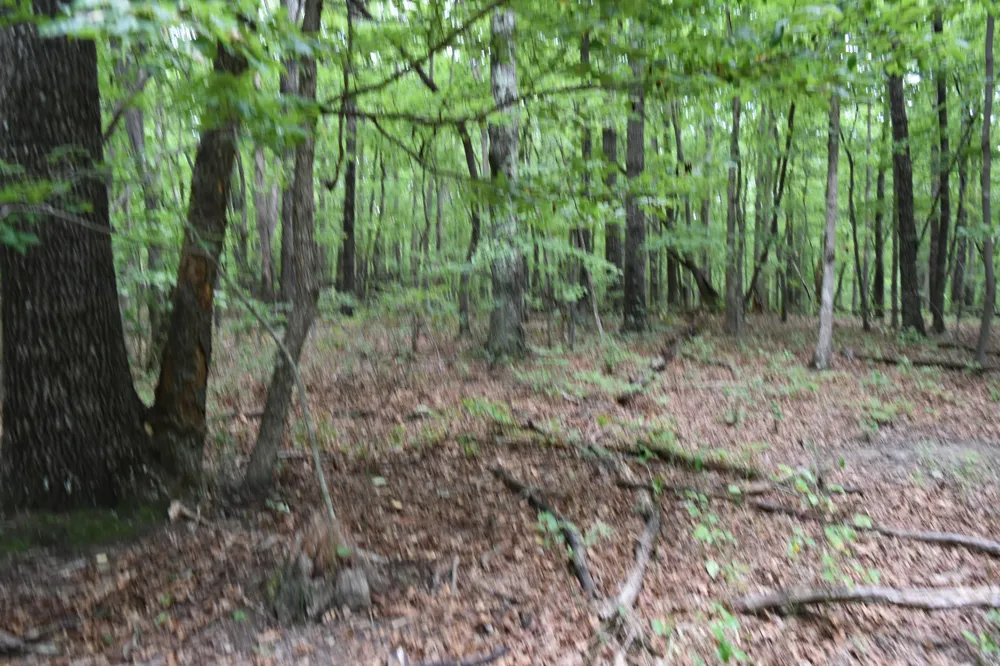 0 Deep Woods Road Sewanee, TN 37375
