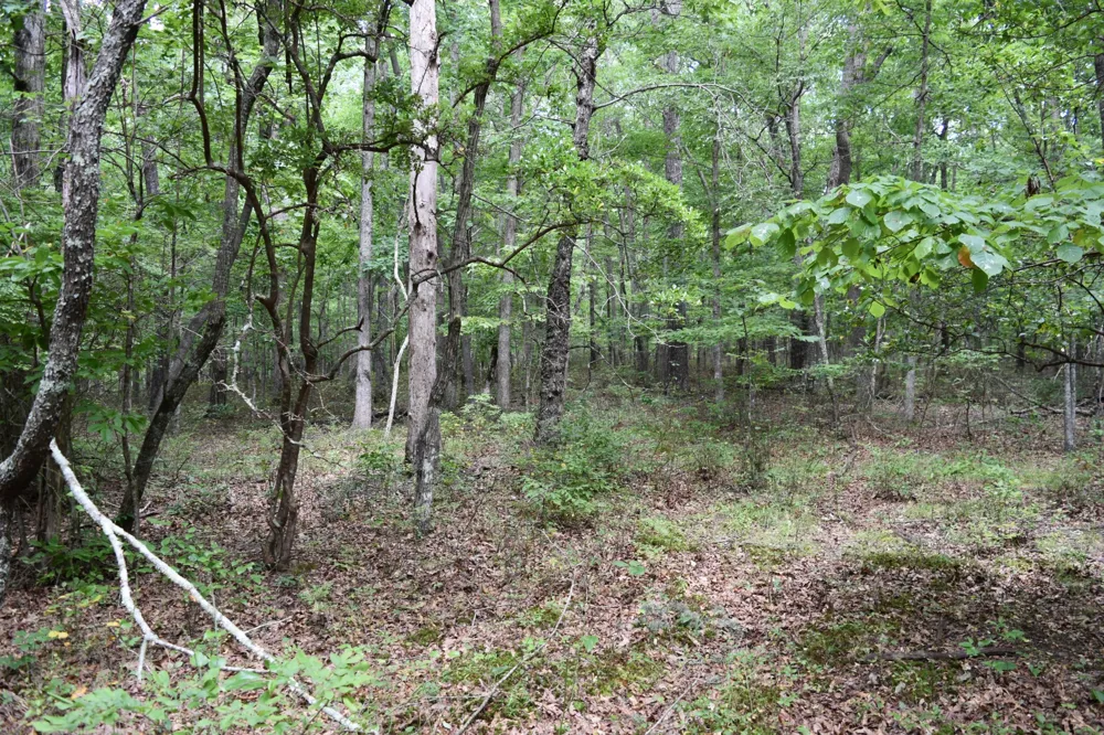 0 Deep Woods Road Sewanee, TN 37375