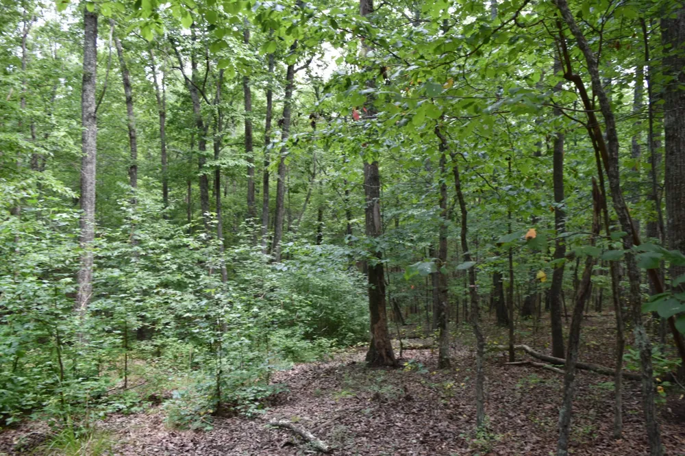 0 Deep Woods Road Sewanee, TN 37375