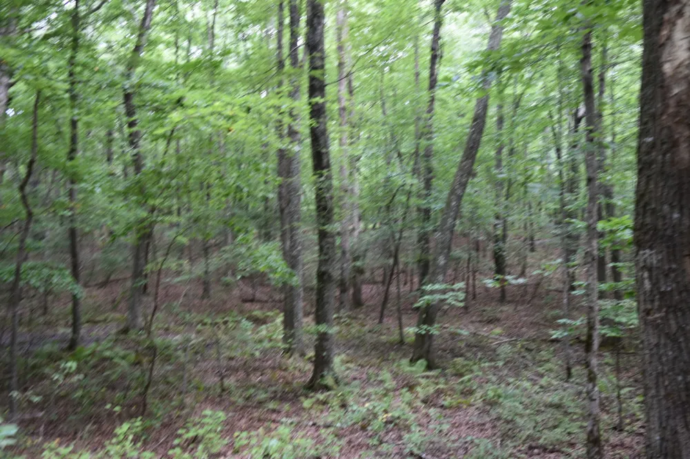 0 Deep Woods Road Sewanee, TN 37375