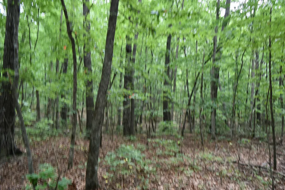 0 Deep Woods Road Sewanee, TN 37375