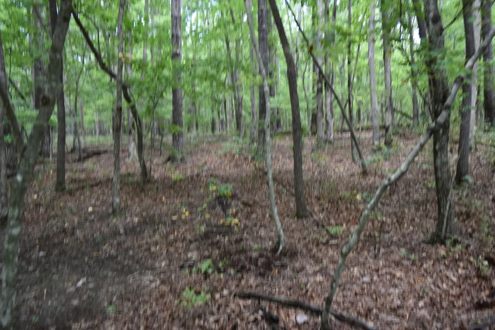 0 Deep Woods Road Sewanee, TN 37375