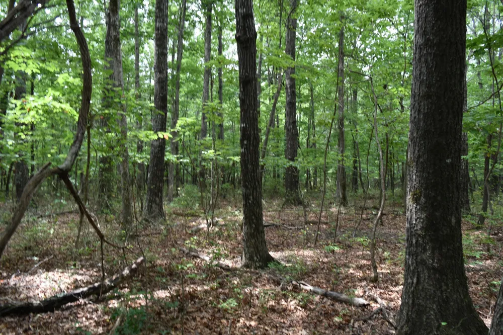 0 Deep Woods Road Sewanee, TN 37375