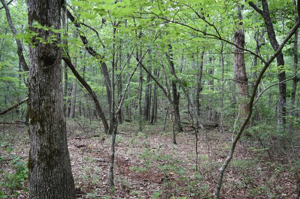 0 Deep Woods Road Sewanee, TN 37375