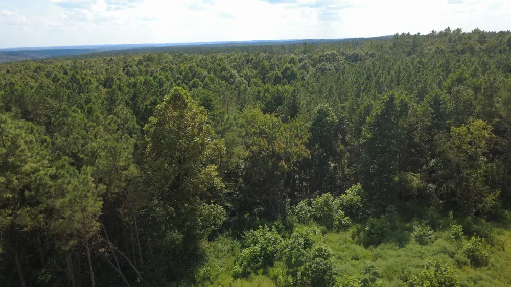 110 Hilltop Dr Hohenwald, TN 38462