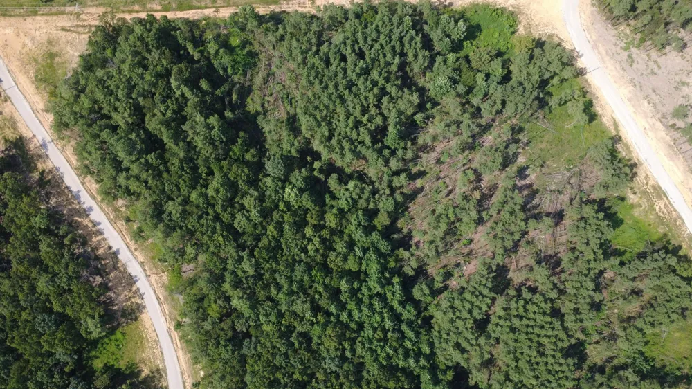 110 Hilltop Dr Hohenwald, TN 38462