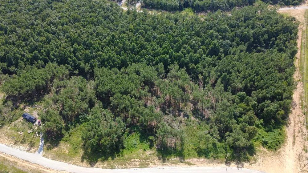 110 Hilltop Dr Hohenwald, TN 38462
