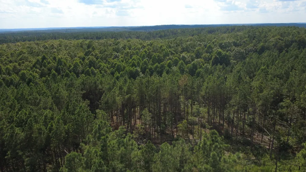 110 Hilltop Dr Hohenwald, TN 38462