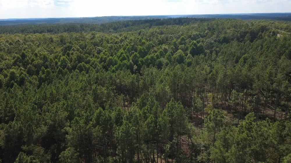 110 Hilltop Dr Hohenwald, TN 38462