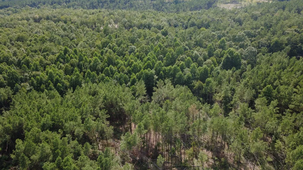 110 Hilltop Dr Hohenwald, TN 38462