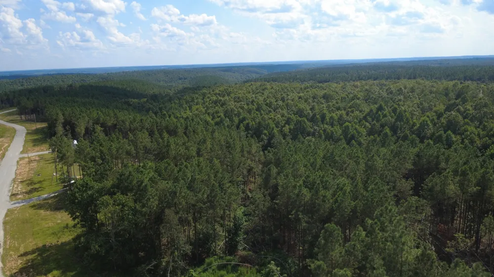 110 Hilltop Dr Hohenwald, TN 38462