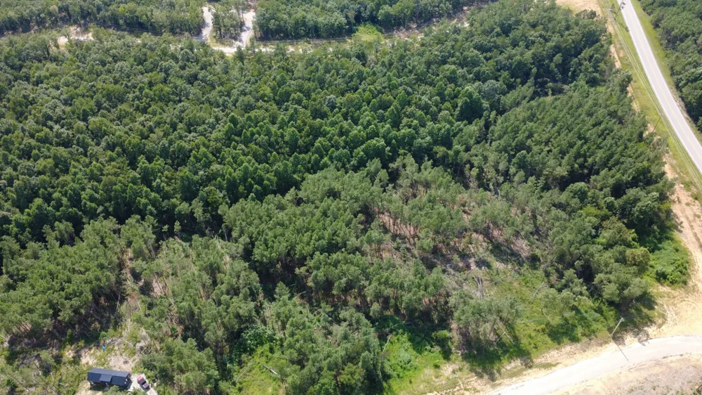 110 Hilltop Dr Hohenwald, TN 38462