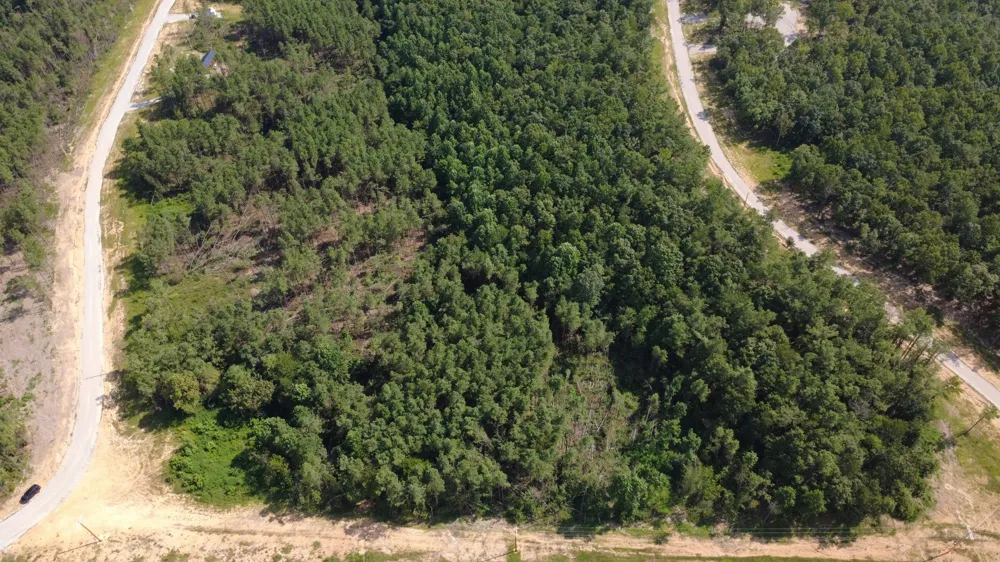 110 Hilltop Dr Hohenwald, TN 38462