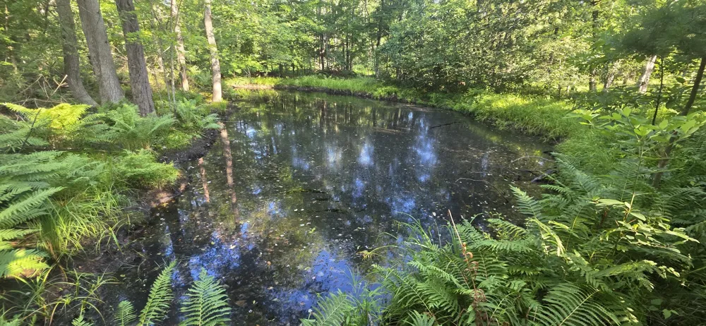 10 E Free Soil Road Free Soil, MI 49411