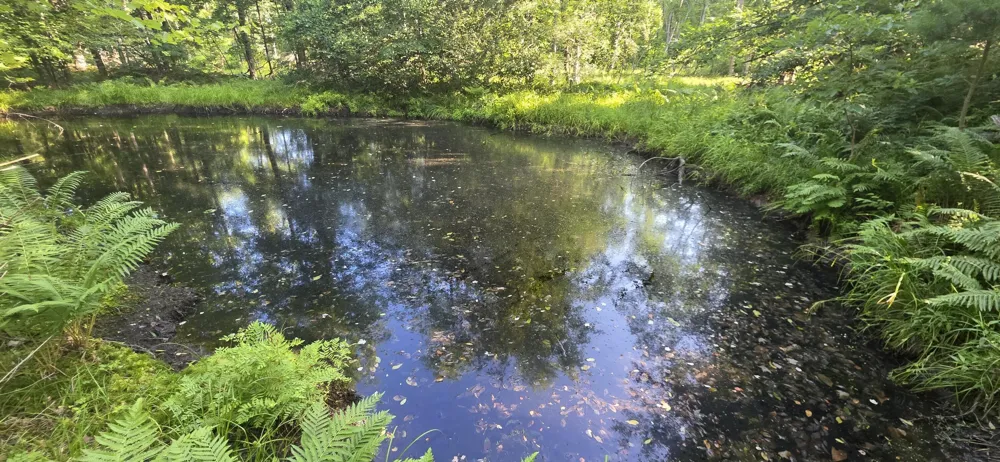 10 E Free Soil Road Free Soil, MI 49411