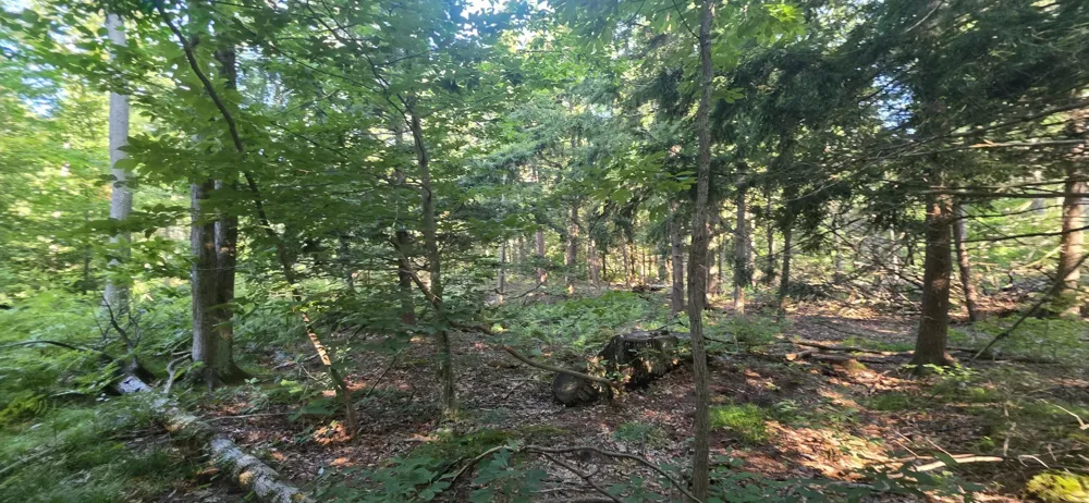 10 E Free Soil Road Free Soil, MI 49411