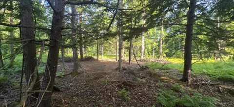 10 E Free Soil Road