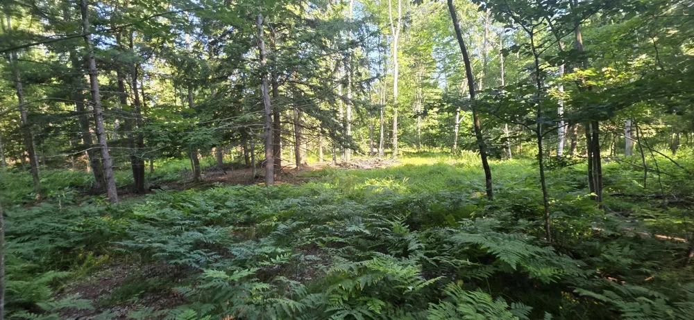 10 E Free Soil Road Free Soil, MI 49411