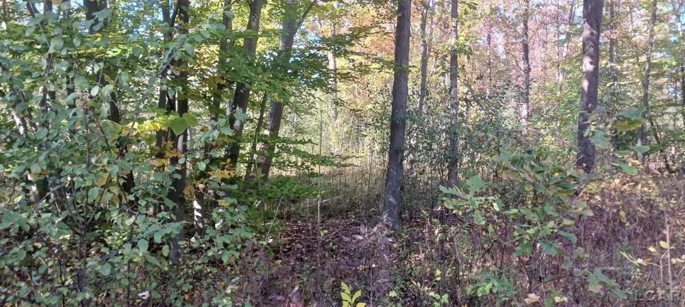 Pine Creek Dr. Burton City, MI 48519
