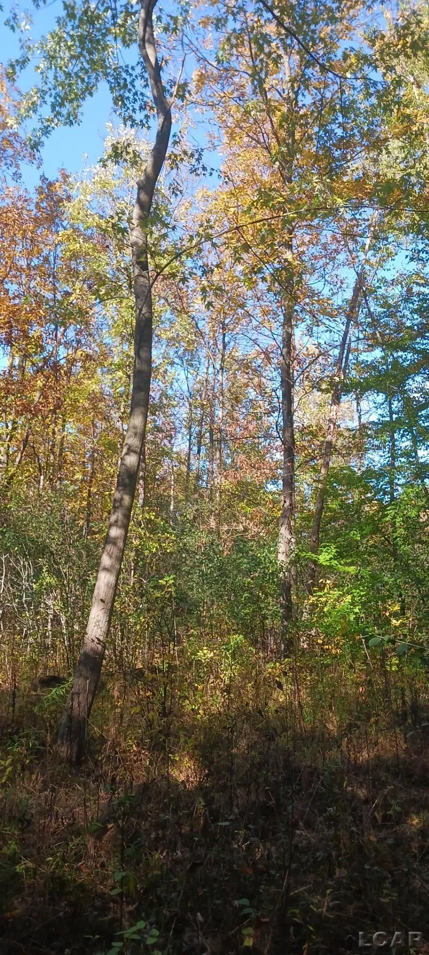 Pine Creek Dr. Burton City, MI 48519