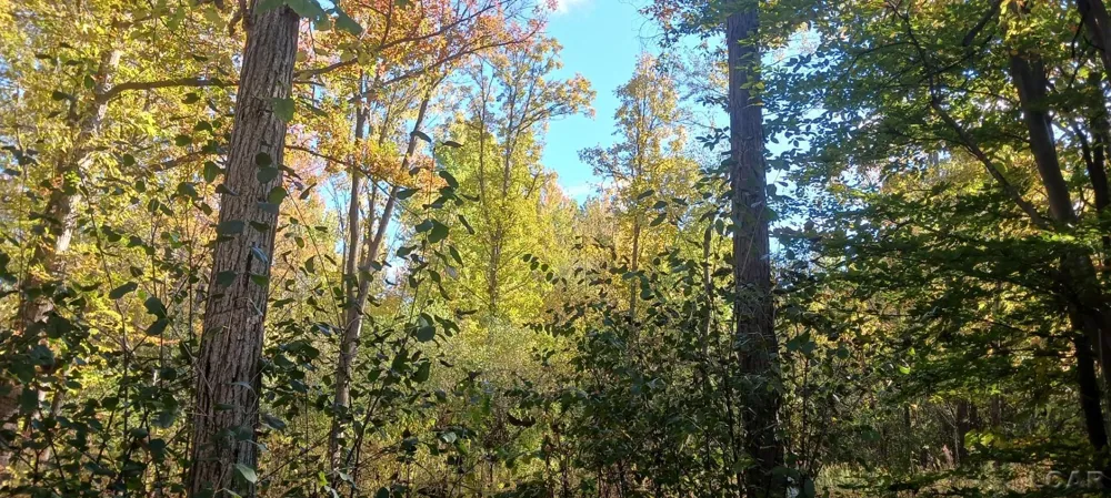 Pine Creek Dr. Burton City, MI 48519