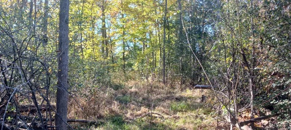 Pine Creek Dr. Burton City, MI 48519