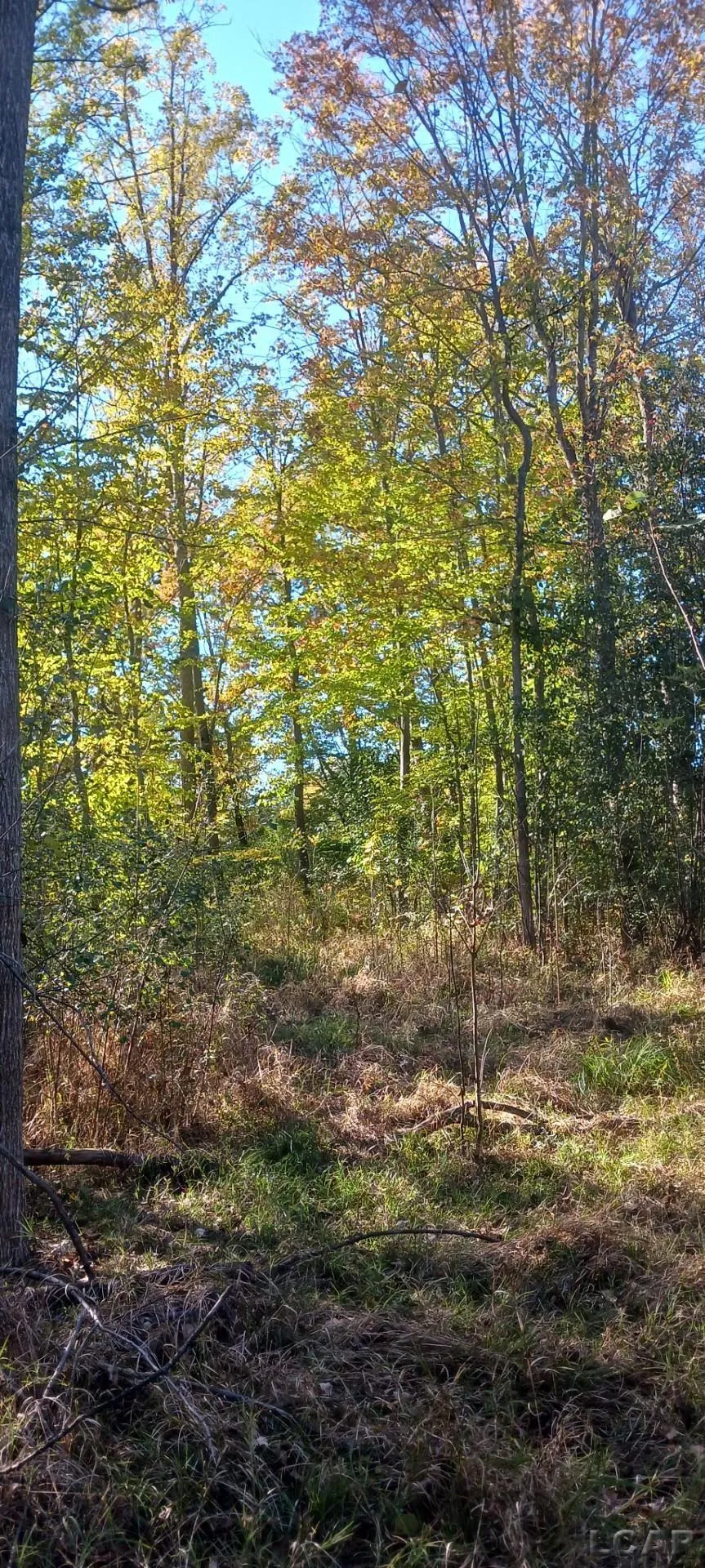 Pine Creek Dr. Burton City, MI 48519