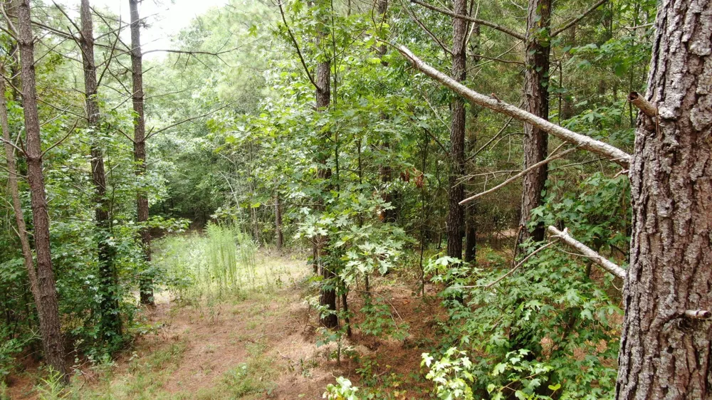 586 Seiber Ridge Rd Hohenwald, TN 38462