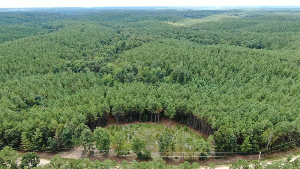 586 Seiber Ridge Rd Hohenwald, TN 38462