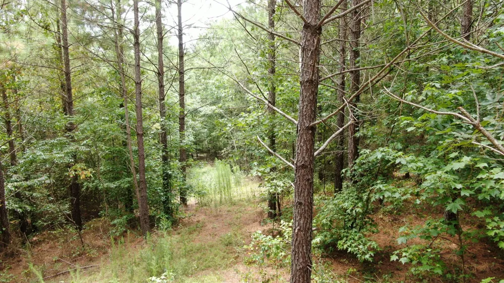 586 Seiber Ridge Rd Hohenwald, TN 38462