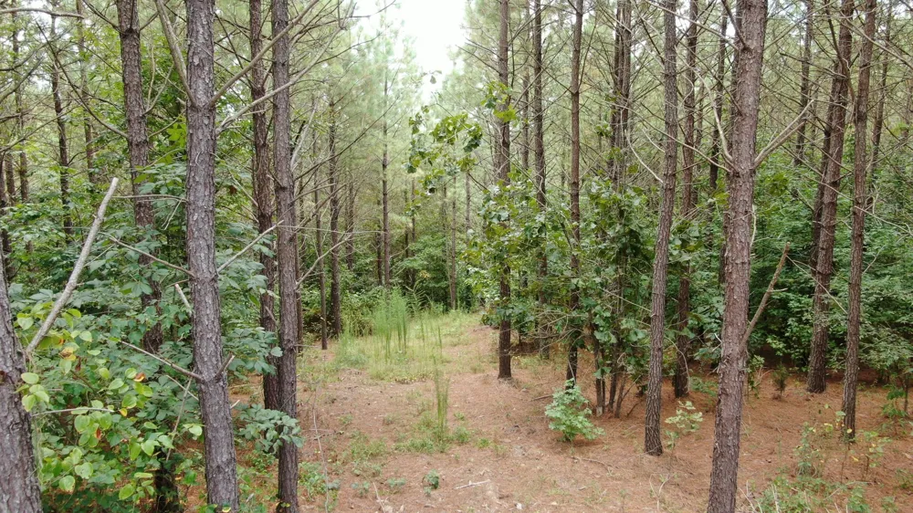 586 Seiber Ridge Rd Hohenwald, TN 38462