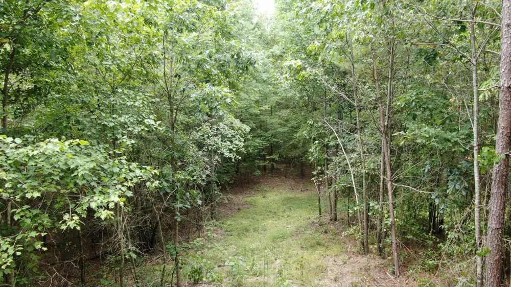 586 Seiber Ridge Rd Hohenwald, TN 38462