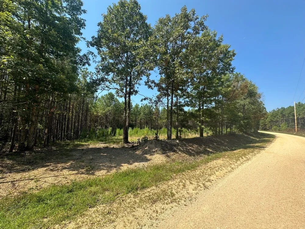 586 Seiber Ridge Rd Hohenwald, TN 38462