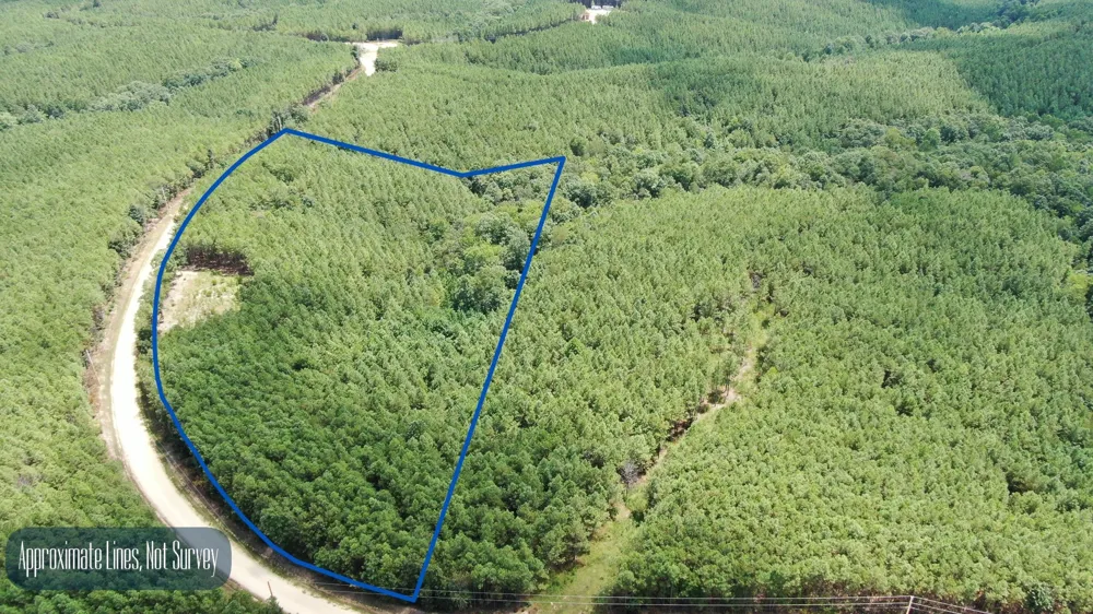 586 Seiber Ridge Rd Hohenwald, TN 38462