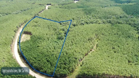 586 Seiber Ridge Rd
