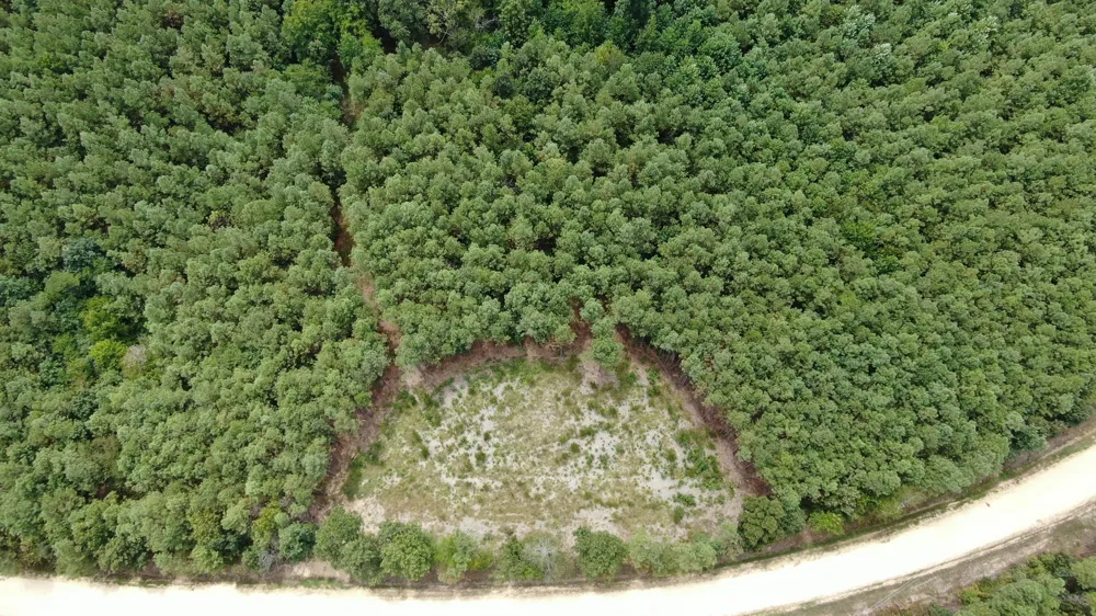 586 Seiber Ridge Rd Hohenwald, TN 38462