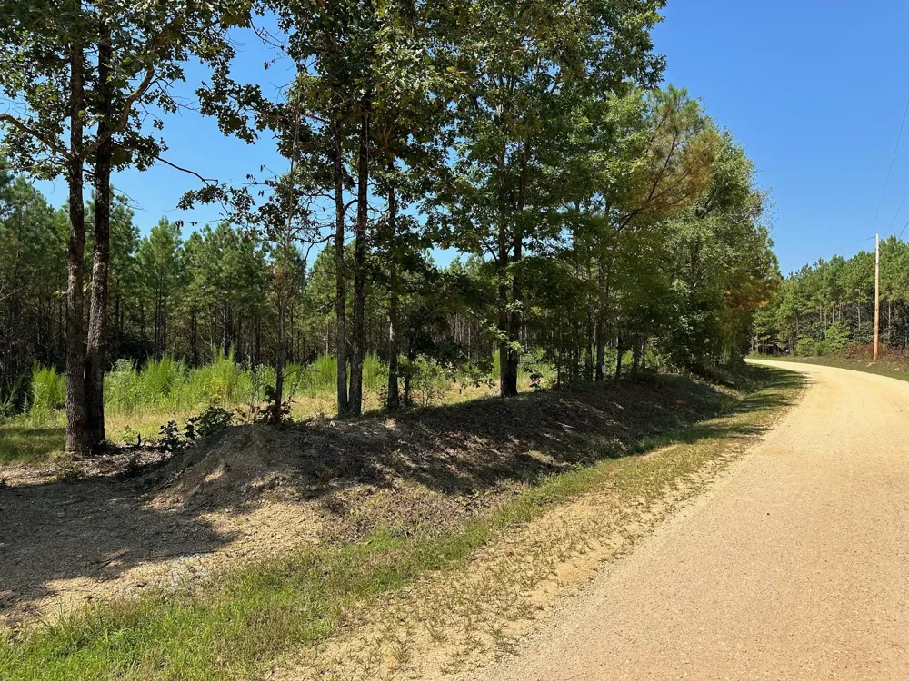 586 Seiber Ridge Rd Hohenwald, TN 38462