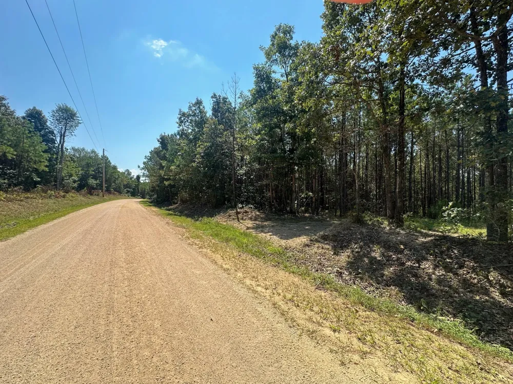 586 Seiber Ridge Rd Hohenwald, TN 38462