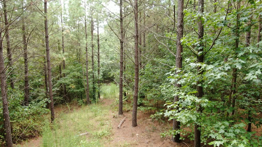 586 Seiber Ridge Rd Hohenwald, TN 38462