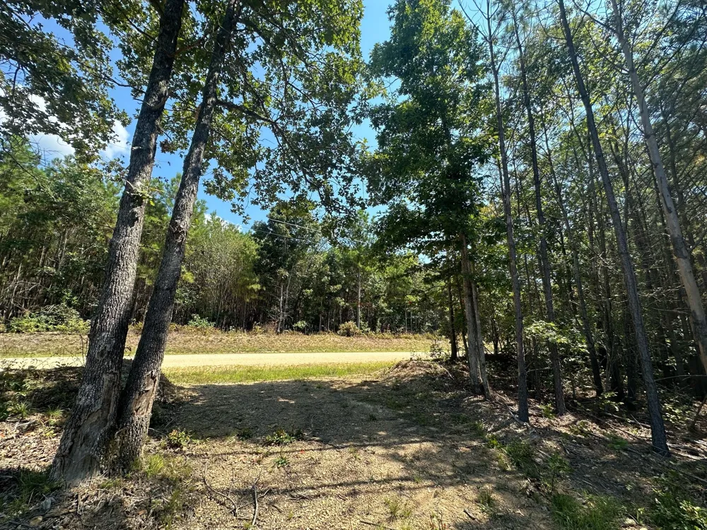 586 Seiber Ridge Rd Hohenwald, TN 38462