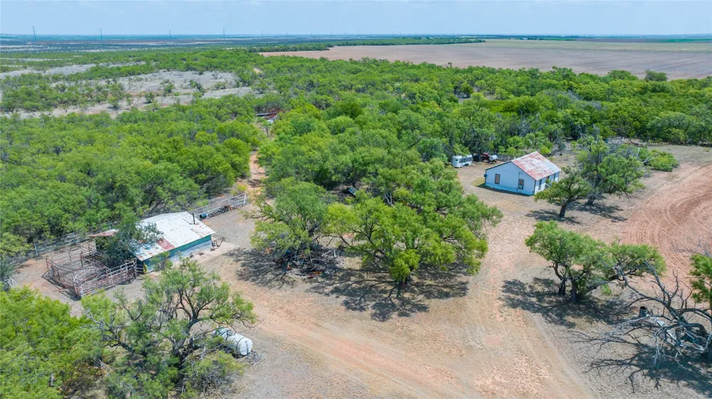 11270 County Road 202 Avoca, TX 79503