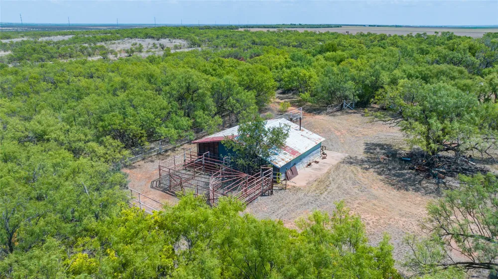 11270 County Road 202 Avoca, TX 79503