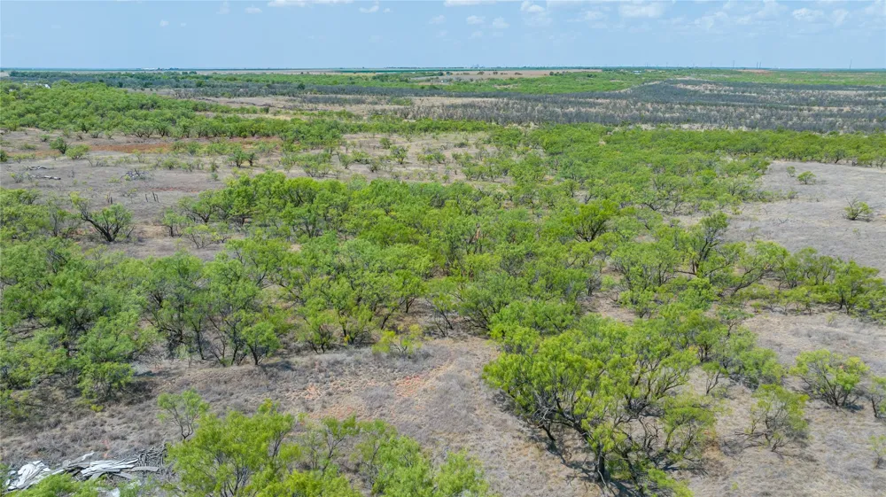 11270 County Road 202 Avoca, TX 79503